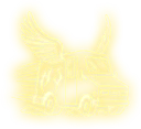 Free priority shipping